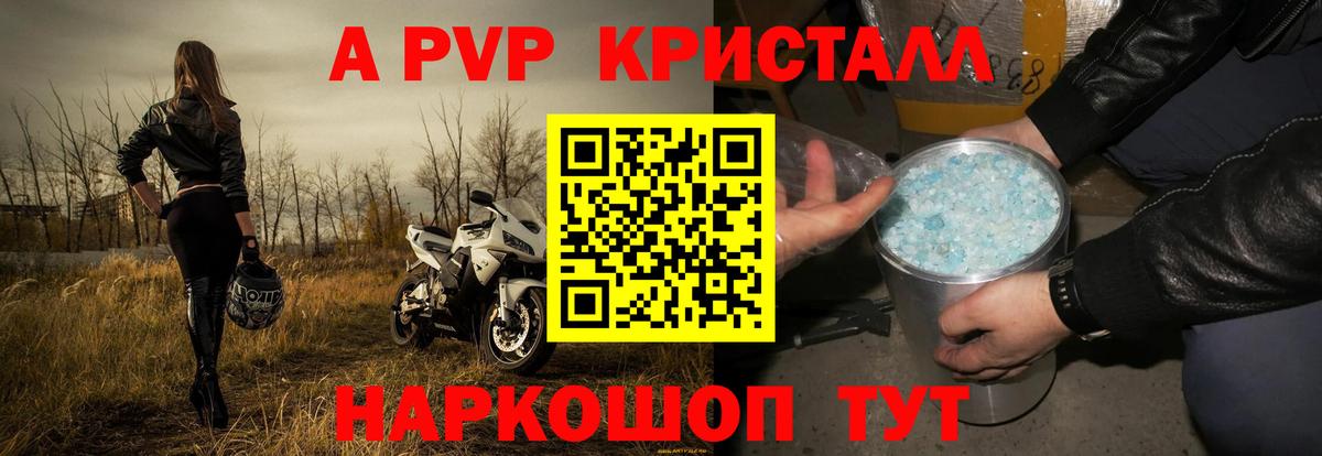 A-PVP СК Новошахтинск