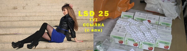 твердый Новодвинск