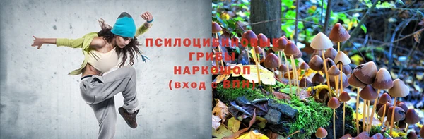 бутират Нягань