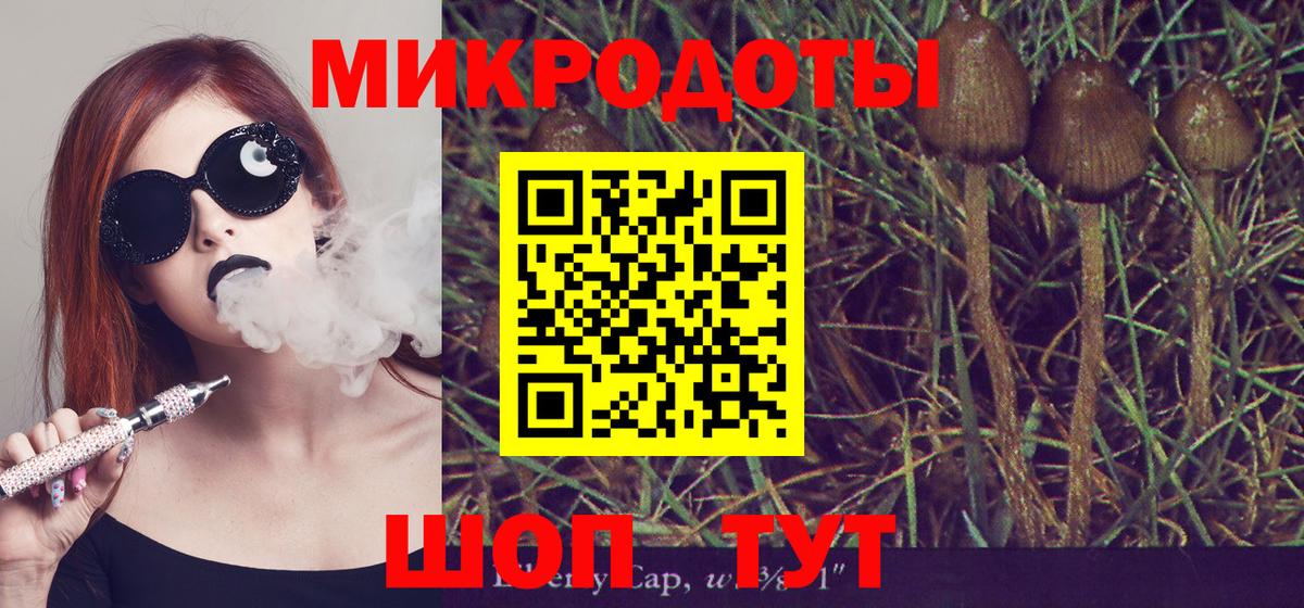 Галлюциногенные грибы MAGIC MUSHROOMS  Новошахтинск 