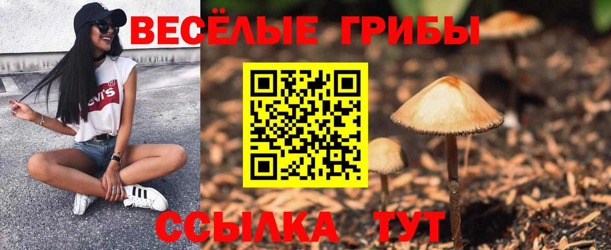 Псилоцибиновые грибы Psilocybine cubensis Новошахтинск