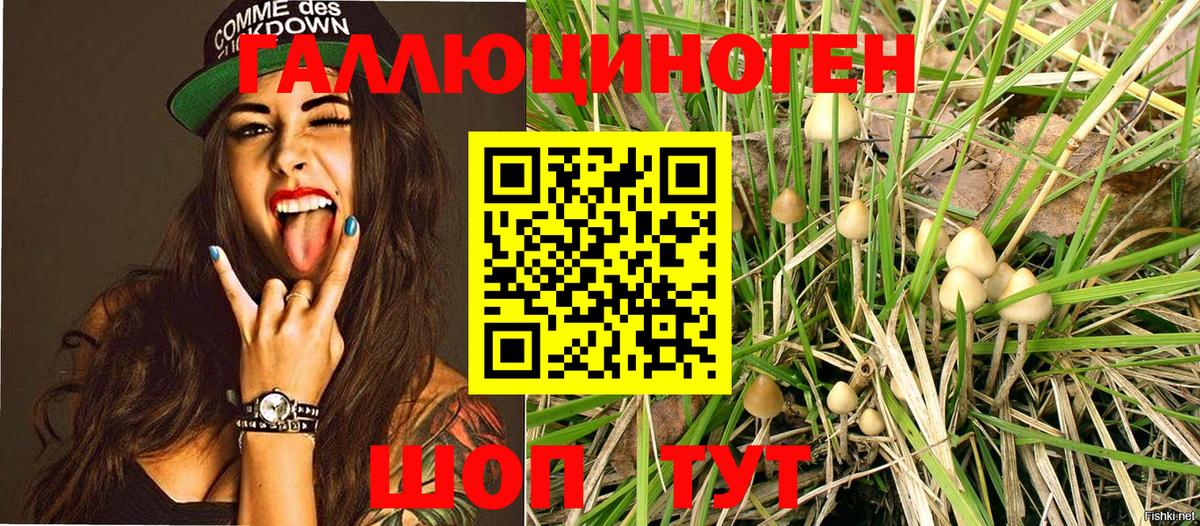 Галлюциногенные грибы MAGIC MUSHROOMS Новошахтинск